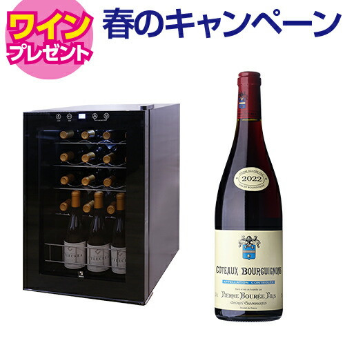 【5/29まで！ワイン特典付き】ワインセラー スタイルクレア イニッチオ SI-02 黒 21本