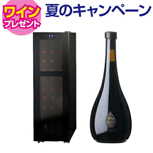 ワインセラー ルフィエール ワインセラー R&W27+(C27SLD) 2温度管理 27本