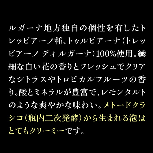 1本当たり1 650 円 6本入フランス シャンパーニュに負けず劣らず 税込 スペイン スパークリングワインセット 送料無料 750ml イタリア