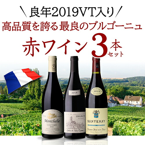 【メーカー直売】の商品をすべて 良年2019VT入 ワインセット 最良ブルゴーニュ 3本 赤ワイン ワイン