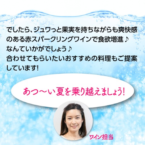 【20%OFF 12/7まで】スパークリングワインセット シュワ~っと爽快、ジュワ~っと果実感!しっかり冷やして楽しむ赤スパークリングワインセット 750ml 4本入 浜運A【送料無料】