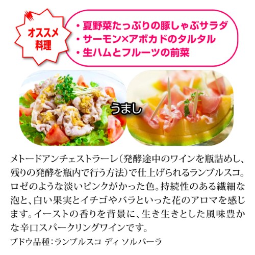 【20%OFF 12/7まで】スパークリングワインセット シュワ~っと爽快、ジュワ~っと果実感!しっかり冷やして楽しむ赤スパークリングワインセット 750ml 4本入 浜運A【送料無料】