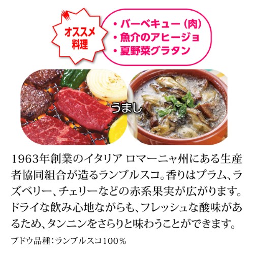 【20%OFF 12/7まで】スパークリングワインセット シュワ~っと爽快、ジュワ~っと果実感!しっかり冷やして楽しむ赤スパークリングワインセット 750ml 4本入 浜運A【送料無料】