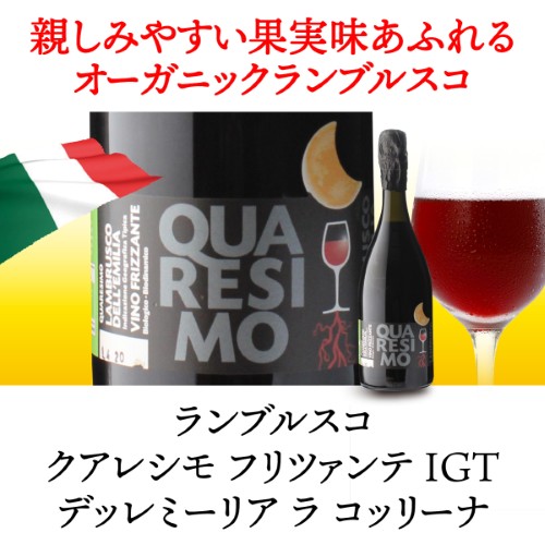 【20%OFF 12/7まで】スパークリングワインセット シュワ~っと爽快、ジュワ~っと果実感!しっかり冷やして楽しむ赤スパークリングワインセット 750ml 4本入 浜運A【送料無料】