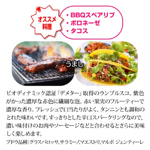 【20%OFF 12/7まで】スパークリングワインセット シュワ~っと爽快、ジュワ~っと果実感!しっかり冷やして楽しむ赤スパークリングワインセット 750ml 4本入 浜運A【送料無料】