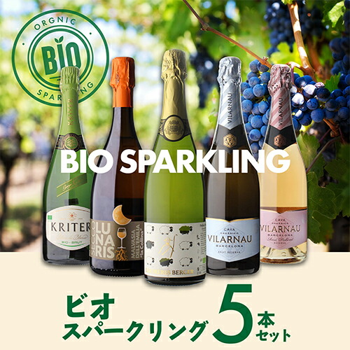 スパークリングワインセット 全てビオ スパークリング 5本セット16弾 750ml 5本入 浜運A【送料無料】