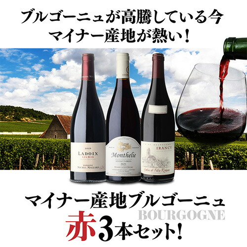 ワインセット マイナーブルゴーニュ赤3本セット 7弾 750ml 浜運【送料無料】