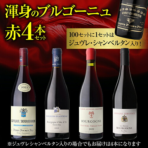 【30％OFF12/26まで】ワインセット 渾身のブルゴーニュ赤4本セット 23弾 浜運A【送料無料】