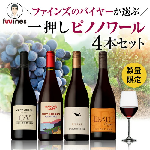 一押しピノノワール赤4本セット 750ml 4本入 浜運【送料無料】