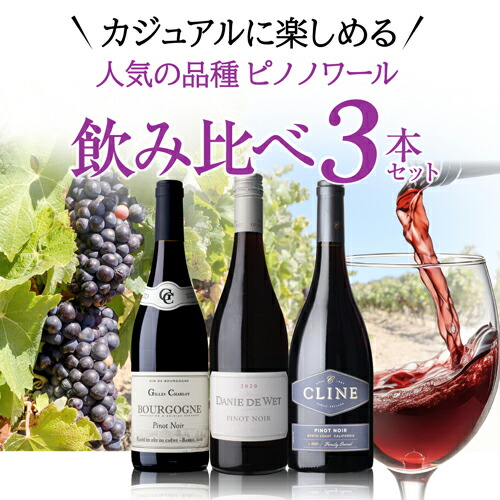 ワインセット カジュアルに飲み比べ 人気品種 ピノ ノワール 3本セット 3弾 750ml 3本入 浜運【送料無料】 母の日