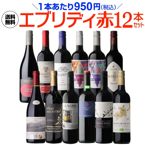 【1本あたり950円 送料無料】エブリデー赤ワイン12本セット 24弾 ワイン ワインセット コスパ 赤ワインセット 人気 赤 辛口 赤泡 フランス イタリア スペイン チリ 浜運A 手土産 お祝い ギフト