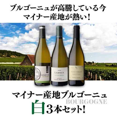 ワインセット マイナーブルゴーニュ白3本セット 8弾 浜運A 【送料無料】 母の日 父の日