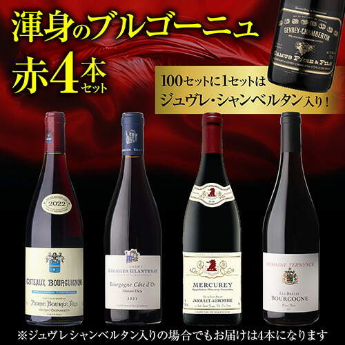 ワインセット 渾身のブルゴーニュ赤4本セット 24弾 浜運【送料無料】 父の日 お中元