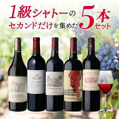 【10%OFF 7/20 10時まで】ワインセット 1級シャトーのセカンドだけを集めた5本セット 第9弾 750ml 5本入 浜運【送料無料】お中元
