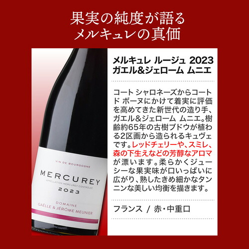 ワインセット 村名ブルゴーニュ 赤ワイン 3本セット12弾 750ml 3本入