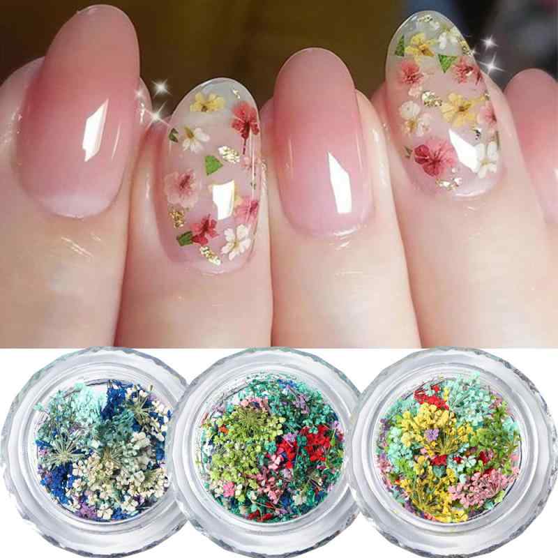 レディース ネイルパーツ ドライフラワー 押し花 カスミソウ 天然生花 小花 ボトル入り 12色セット 詰め合わせ ネイルアート レジン封入 デコパーツ セルフネイル トレンド 大人可愛い 華やか 上品(x10)