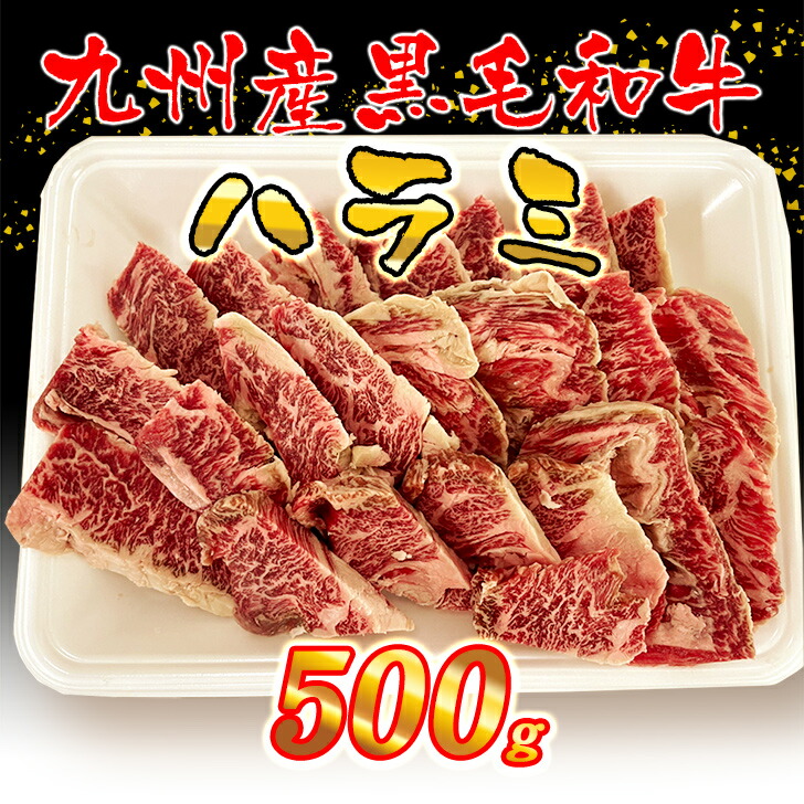 市場 冷凍便でお届け 黒毛和牛 冷凍 A4 国産 WAGYU ハラミ バーベキュー 焼肉 500g 牛肉 A5等級 焼肉丼 お肉 焼肉用 九州産 国産牛