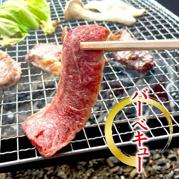 市場 冷凍便でお届け 黒毛和牛 冷凍 A4 国産 WAGYU ハラミ バーベキュー 焼肉 500g 牛肉 A5等級 焼肉丼 お肉 焼肉用 九州産 国産牛