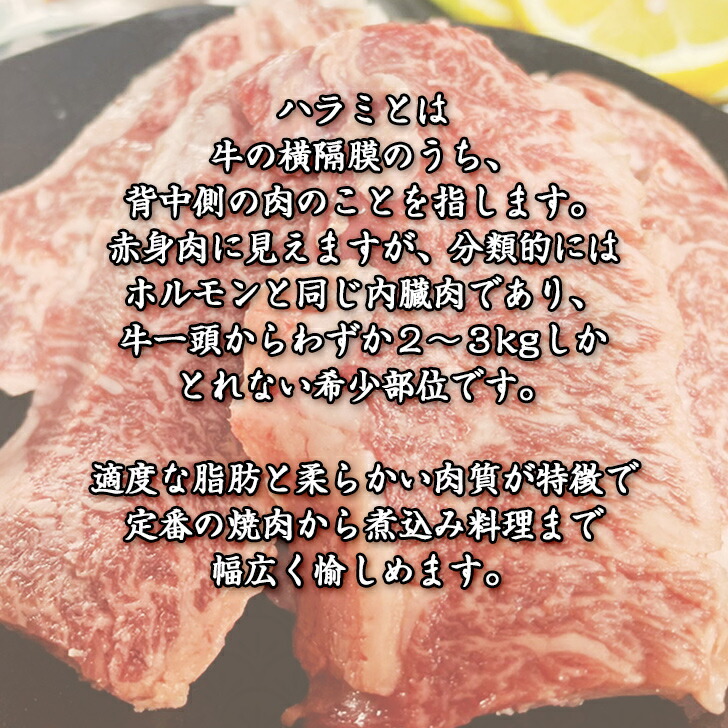 78%OFF!】 九州産 A4 A5等級 黒毛和牛 ハラミ 焼肉用 1kg 焼肉 バーベキュー 焼肉丼 国産牛 お肉 牛肉 冷凍 国産 WAGYU  BBQ プレゼント ギフト お祝い 誕生日 取り寄せ お中元 お歳暮 敬老の日 サプライズ fucoa.cl