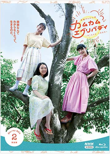 連続テレビ小説 カムカムエヴリバディ 完全版 ブルーレイ BOX2 新品|セナ店