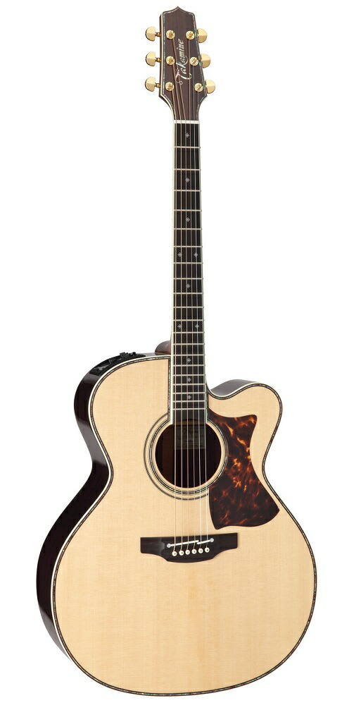Takamine TDP181AC SBL タカミネ エレアコ TDP181AC SBB（生産終了）｜100シリーズ｜エレクトリック