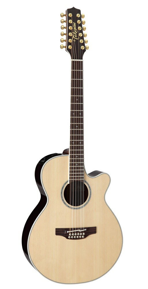 タカミネアコギ ☆Takamine/タカミネ DMP713 CT エレアコ アコースティック