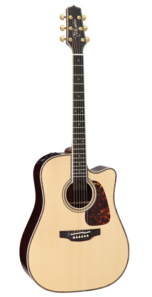 TAKAMINE N-20 エレアコ？　ギター　アコースティックギター 楽天市場】Takamine LTD2020 -Peace- ピース タカミネ
