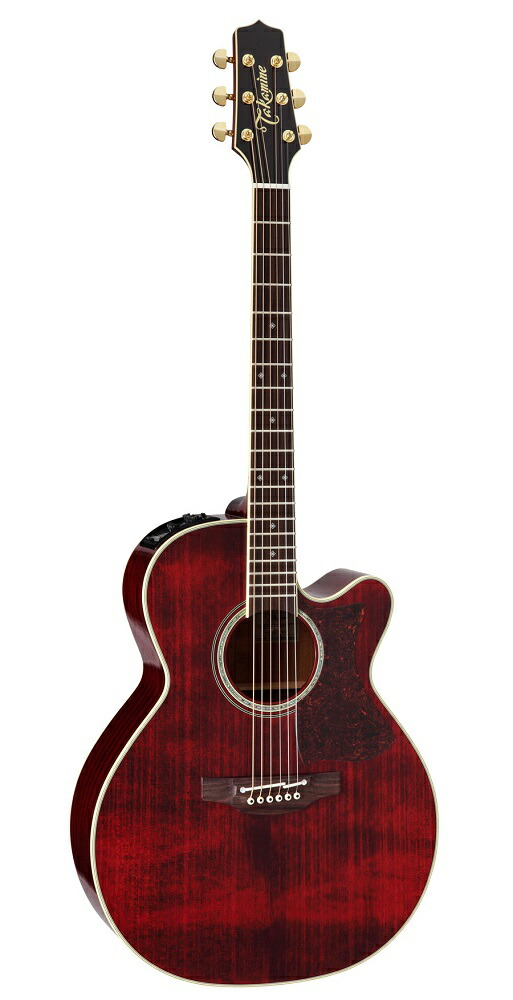 楽天市場】【送料無料】Takamine タカミネ FPT181AC WR アコースティックギター(エレアコ) : セントラルミュージック楽天市場店