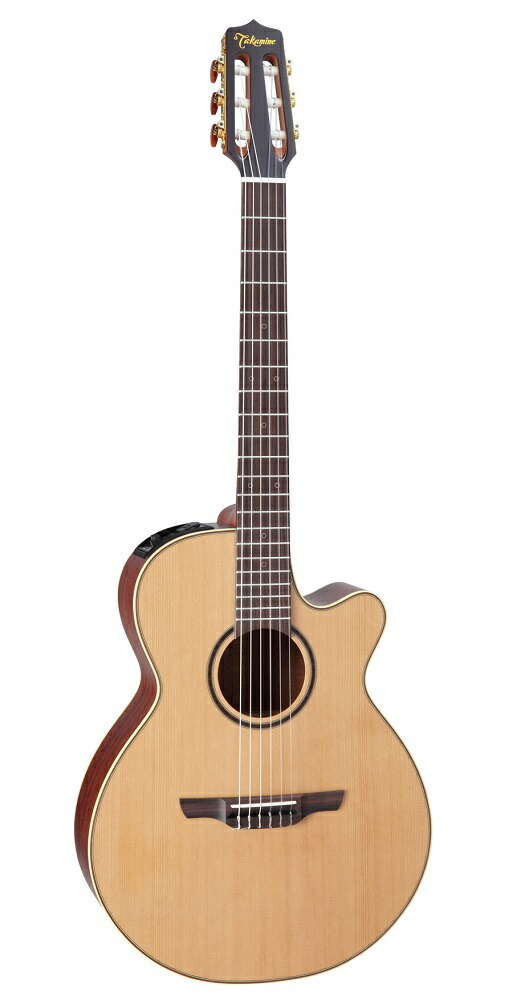 ギター Cooder by takamine TCS-550N compass1734404447.jpg