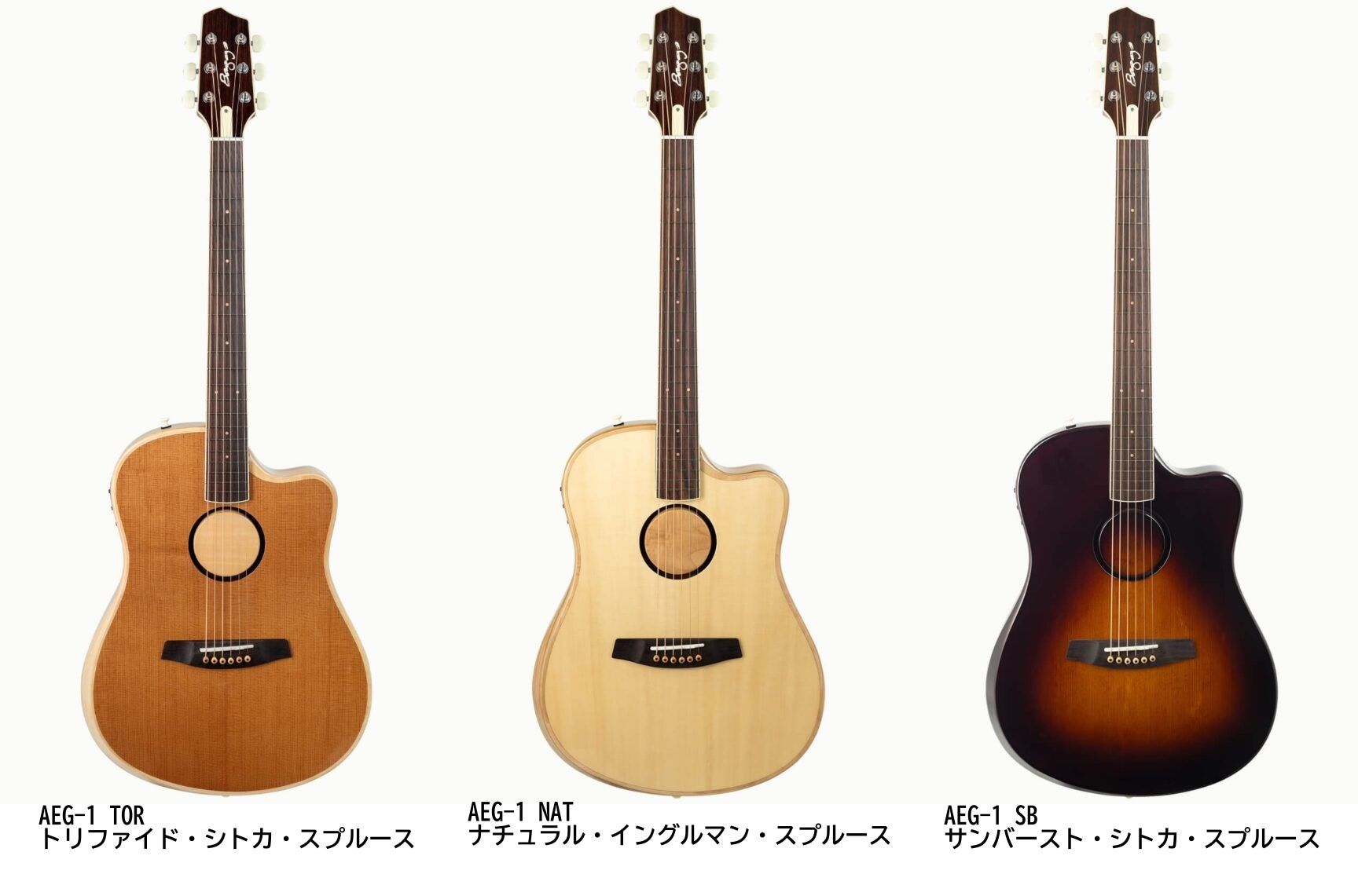 楽天市場】PLAYTECH（プレイテック） エレアコ ギター RG10
