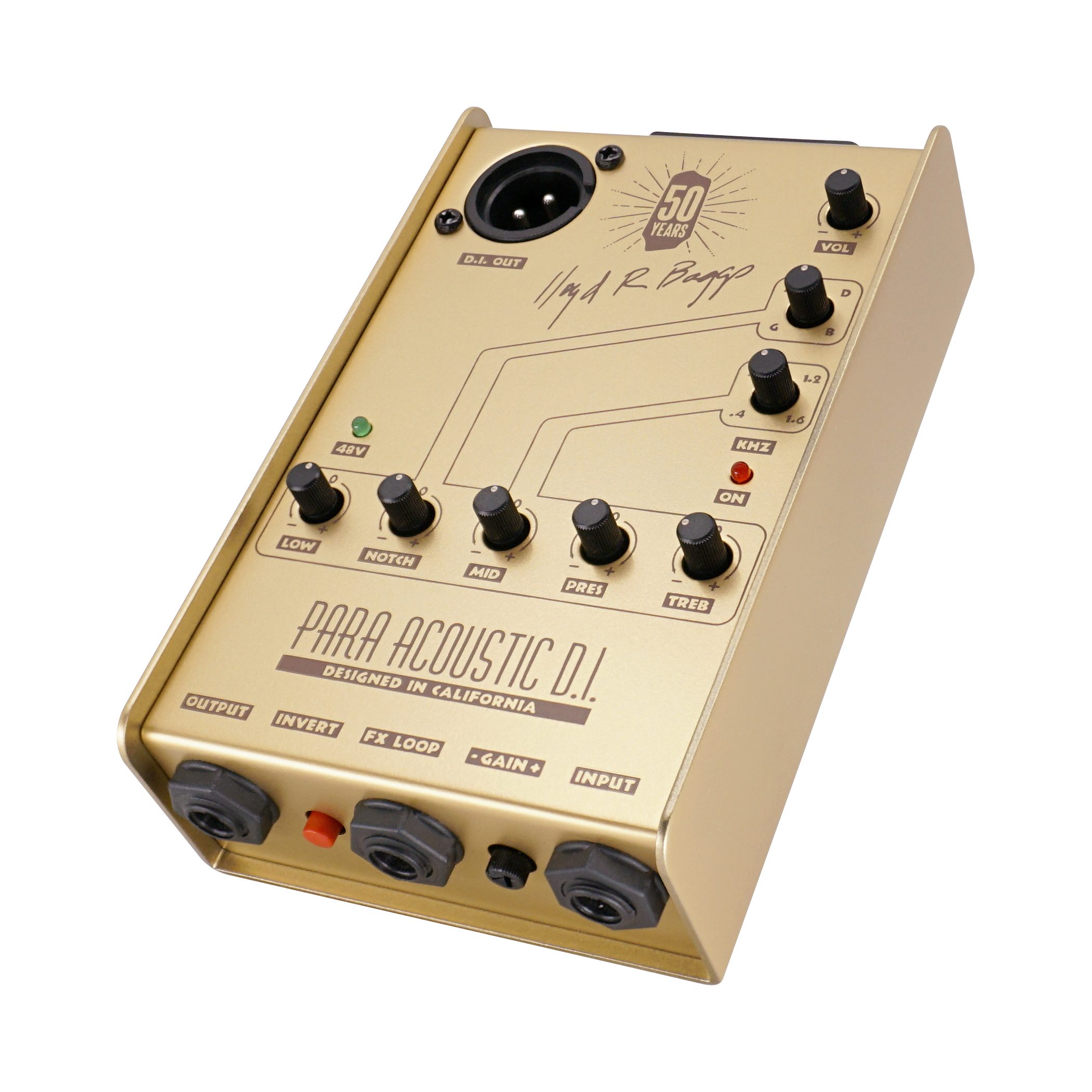 楽天市場】【限定品】L.R.Baggs 50th Anniversary Gold Para