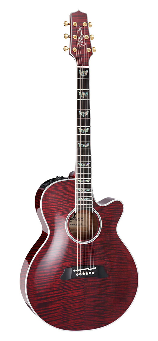 タカミネギター　DMP551C WR 楽天市場】TAKAMINE DMP551C WR【スペア弦＆レビュー特典付き