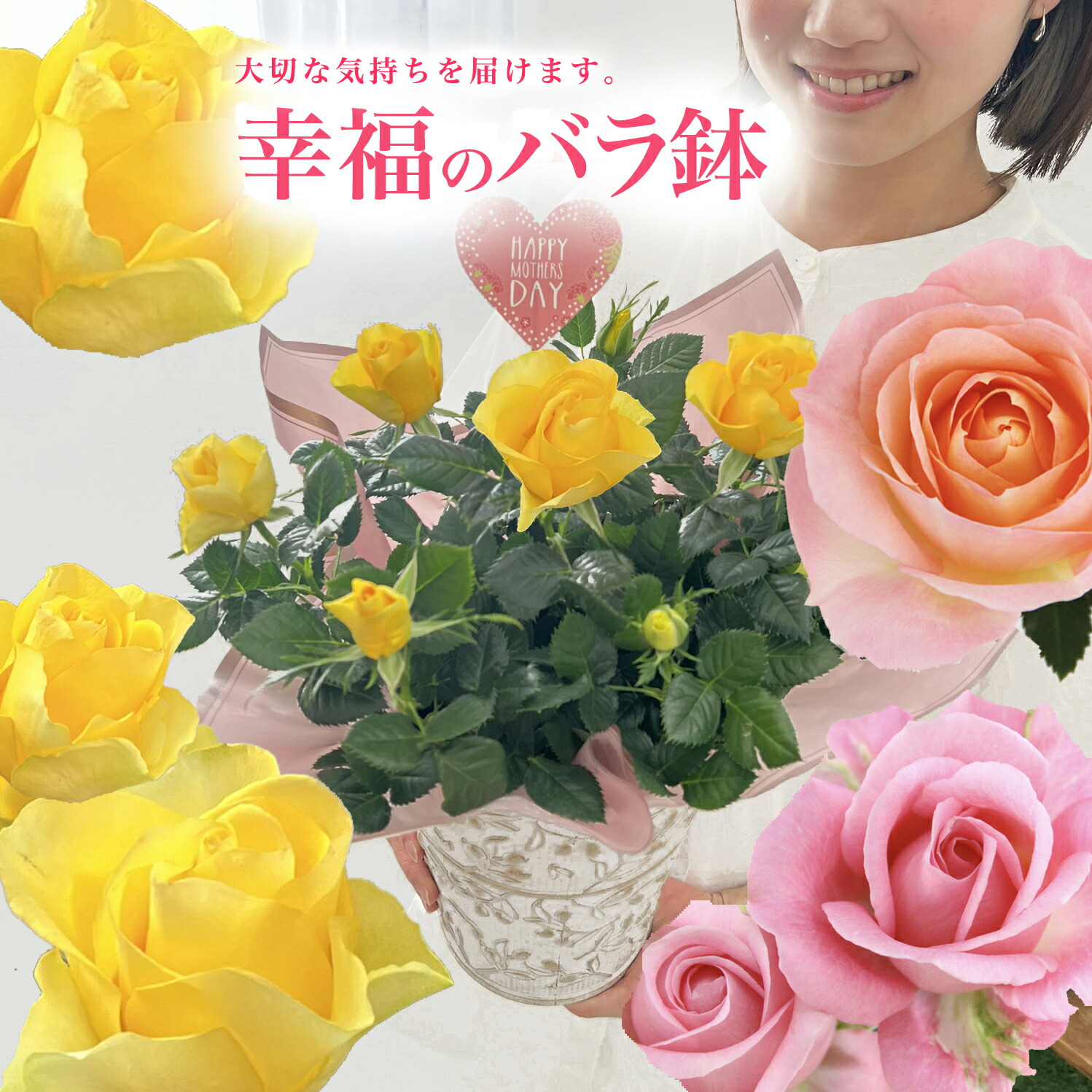 楽天市場】ミニバラ 強香 乙女心 おとめごころ （4号） ミニバラ