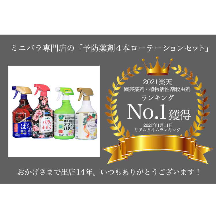 楽天市場 予防 治療 薬剤４本ローテーションセット ミニバラ育て方 バラ 薔薇 ガーデニング アフターケア 予防 ミニバラ専門店 セントラルローズ