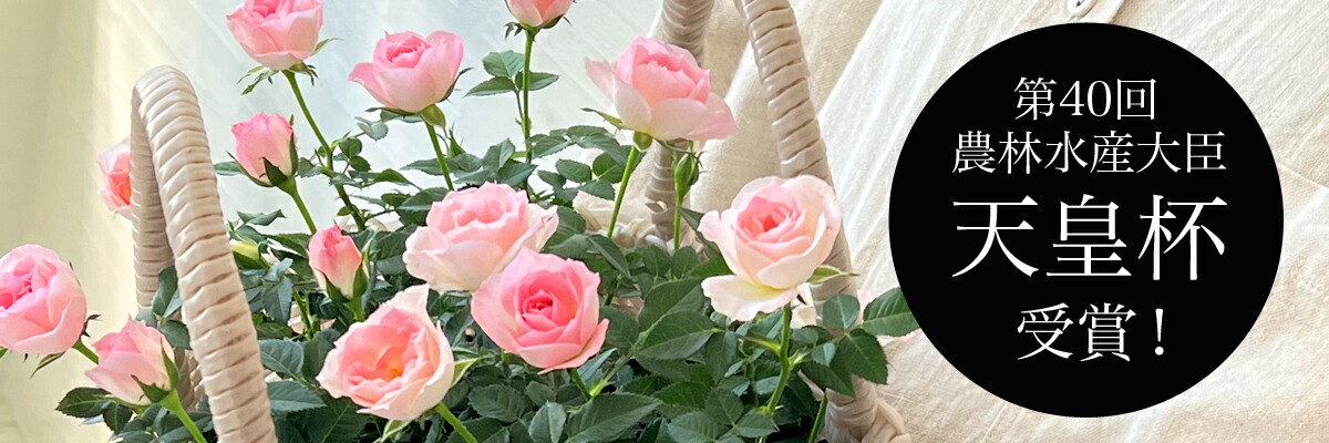 �ߥ˥Х�����Ź������ȥ�����������Ƥ�ߥ˥Х�����Ź��ŷ���ռ��ޤξд�ΥХ顣