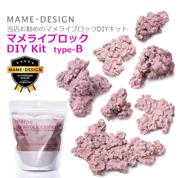 人工ライブ鍵を掛ける マメ科植物ライブ鍵を掛ける お勧め書き割りB（専用セメント質付）