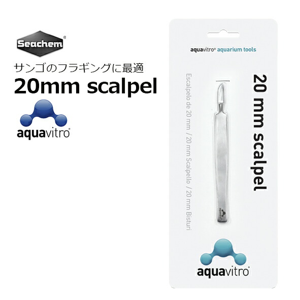 カスタムナイフハンドル材　フォッシルコーラル化石珊瑚 フォッシルコーラル バングル 化石珊瑚60mm[T23-2303]