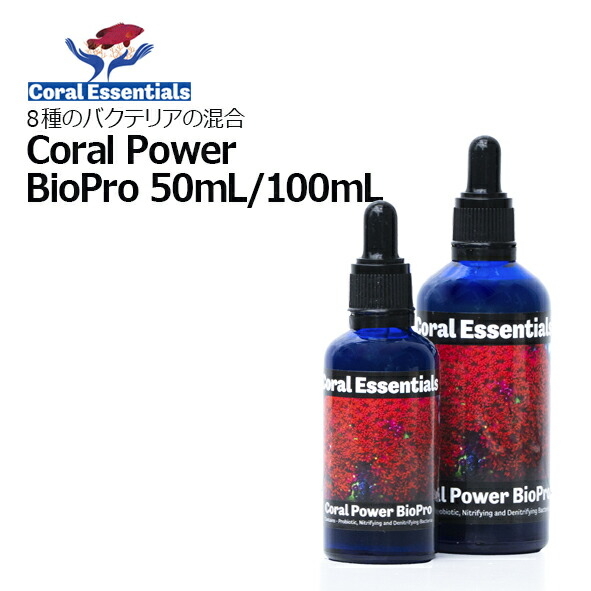 楽天市場】コーラルエッセンシャルズ・コーラルパワー フォスフェート