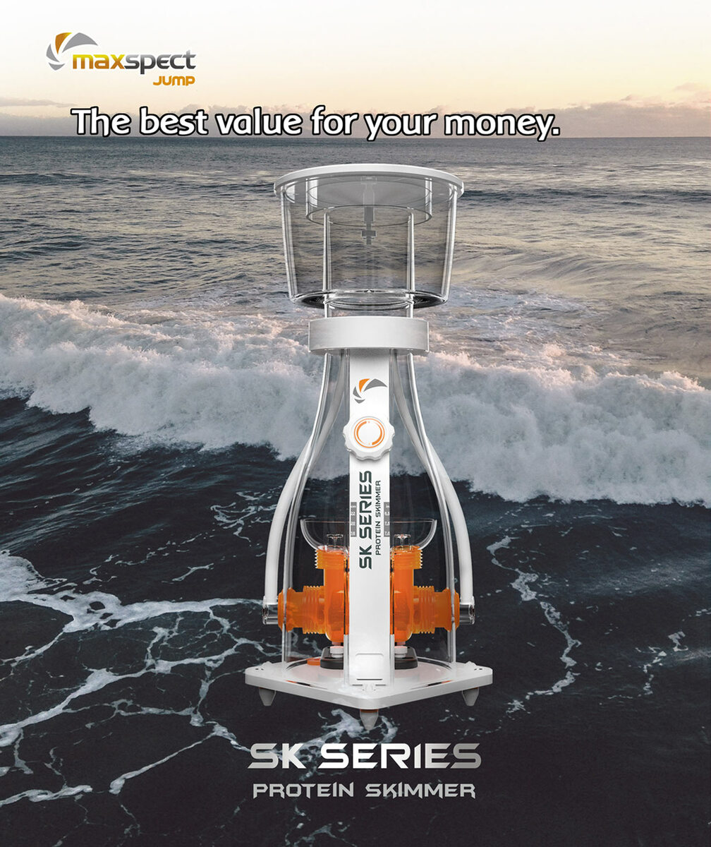 楽天市場】maxspectGyre XF330 Cloud Edition : CEPPO WEB SHOP