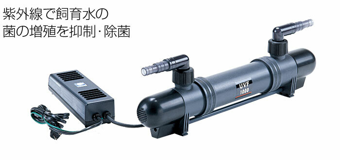 楽天市場】レイシー マグネットポンプ RMD-1001 : CEPPO WEB SHOP