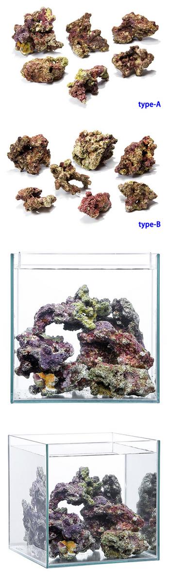 楽天市場】☆ライブロック10kg(5kg×2セット) : CEPPO WEB SHOP