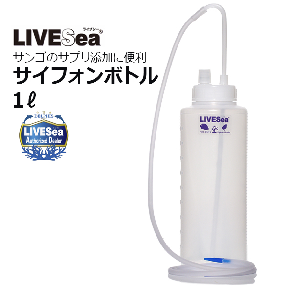 H&S プロテインスキマー　400 アウトレット品 60Hz H&S プロテインスキマー HS-400 内部式