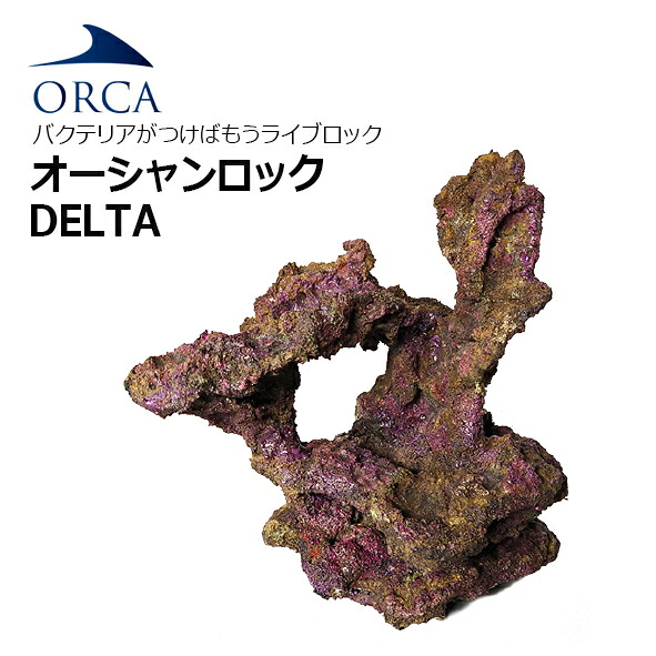 バクテリアがつけばもう ライブロック！ ORCA OCEAN ROCK DELTA　 オーシャンロック デルタ　１BOX入り 【お取寄せ商品】 34,320円