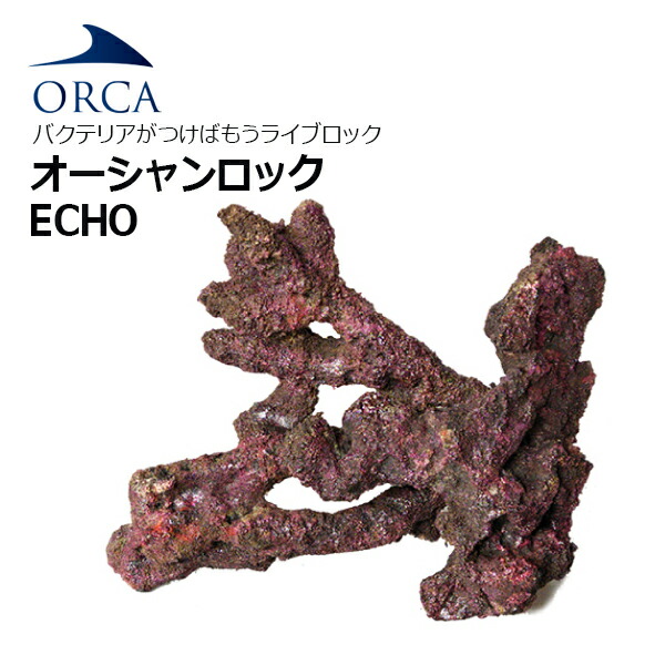バクテリアがつけばもう ライブロック！ ORCA OCEAN ROCK ECHO　 オーシャンロック エコー　１BOX入り 【お取寄せ商品】