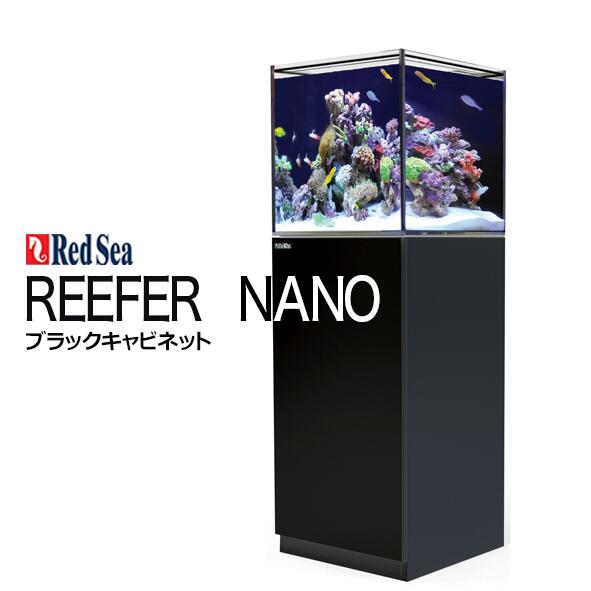 楽天市場】レッドシー REEFER 250V3 サンプ : CEPPO WEB SHOP