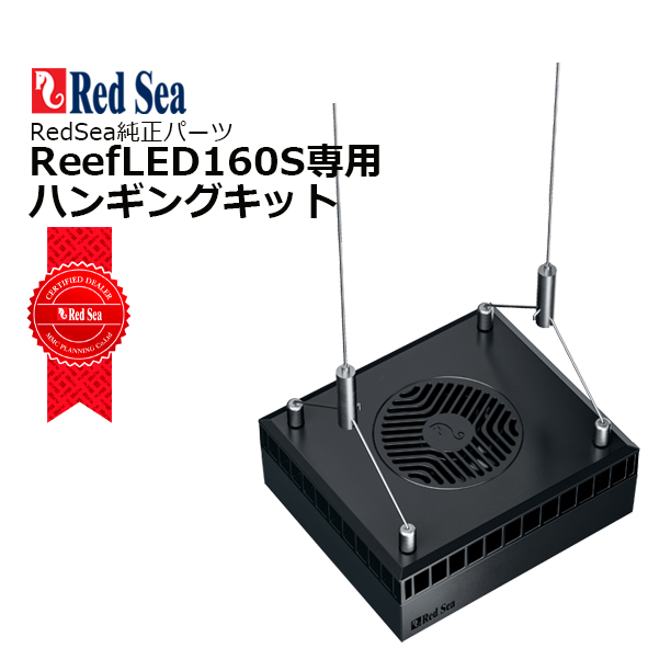 imgrc0115946090.jpg