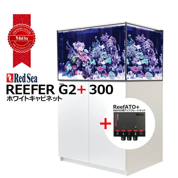 imgrc0114207924.jpg
