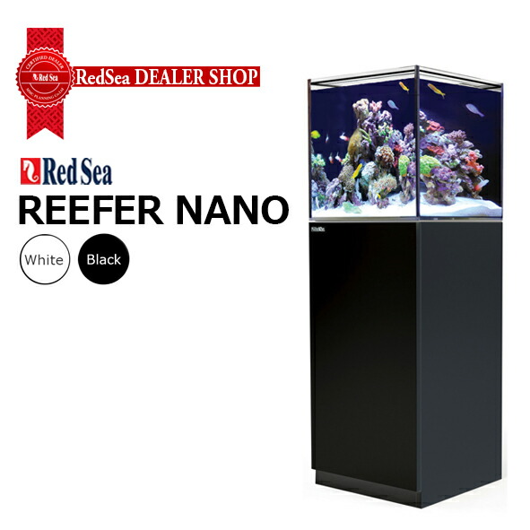 【上品】 imgrc0125149286.jpg 水槽