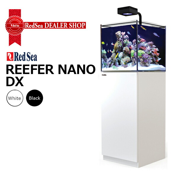 楽天市場】【店頭引渡】レッドシー REEFER170 オーバーフロー