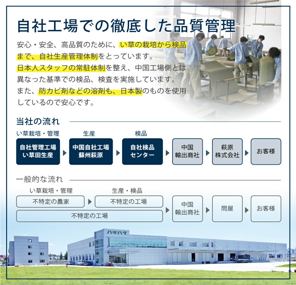 置き畳縁なし防音DIYカット可能滑り止め付き【置き畳紗彩全色12枚セット販売】返品不可・メーカー直送品